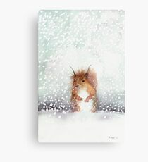Red Squirrel in the Snow, or, Who Stole My Nuts? Metal Print