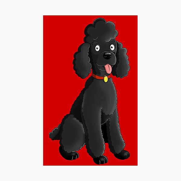 Simulación de dibujos animados dibujados a mano caniche Simulación de dibujos animados dibujados a mano caniche