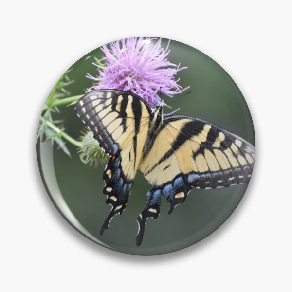 Item preview, Swallowtail on Thistle designed and sold by Tonia Delozier's Photography .