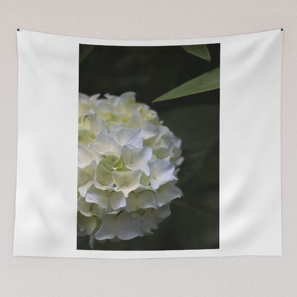 Item preview, White Hydrangea designed and sold by KatTalbolt.