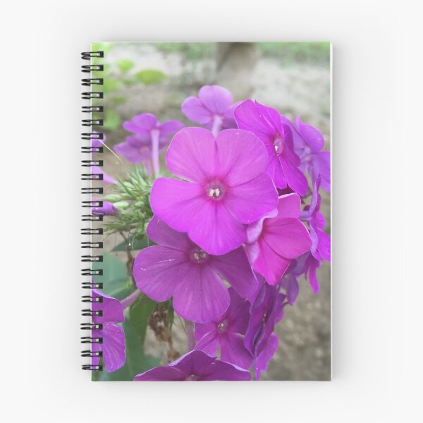 Aperçu de l'œuvre Flower  créée et vendue par Anthonycola21.