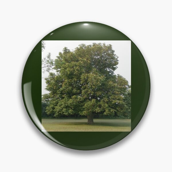Item preview, Big Tree designed and sold by Scott and Mary Schneider art_photography.
