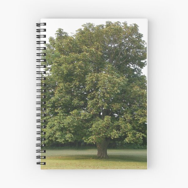 Item preview, Big Tree designed and sold by Scott and Mary Schneider art_photography.