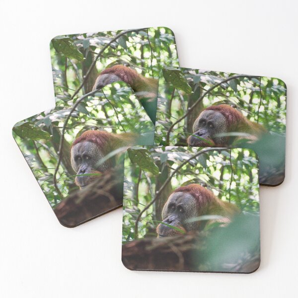 Item preview, "Master of the area" designed and sold by Andreas Koerner.