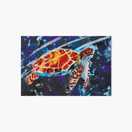 Sea Turtle - Watercolour Art Board Print