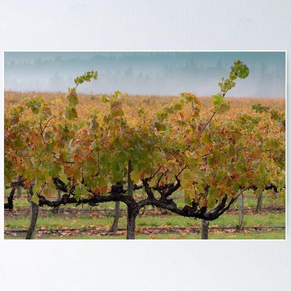 Item preview, Grape Vines after Autumn Rain designed and sold by Denice Breaux.
