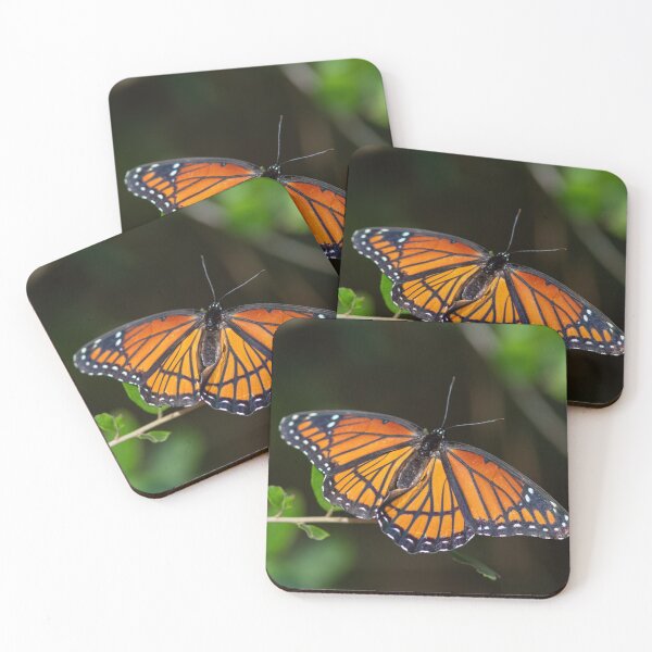 Item preview, Viceroy Butterfly designed and sold by AmberLeung.