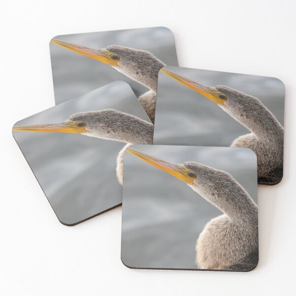 Item preview, Anhinga  designed and sold by Jared Frankle.