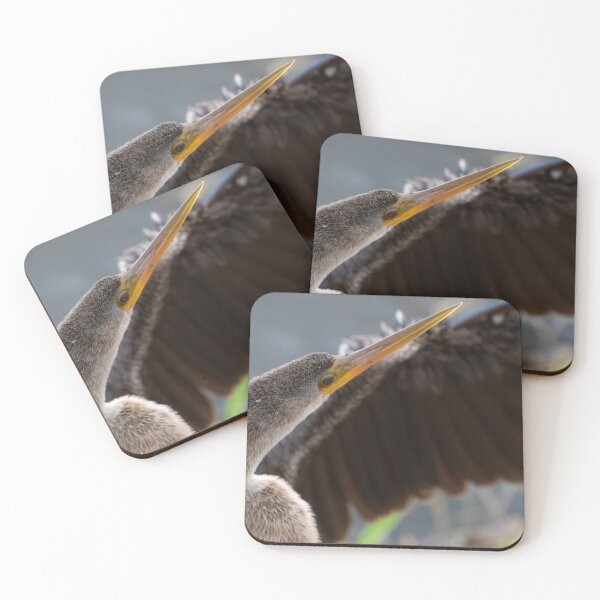 Item preview, Anhinga Sunbathing  designed and sold by Jared Frankle.