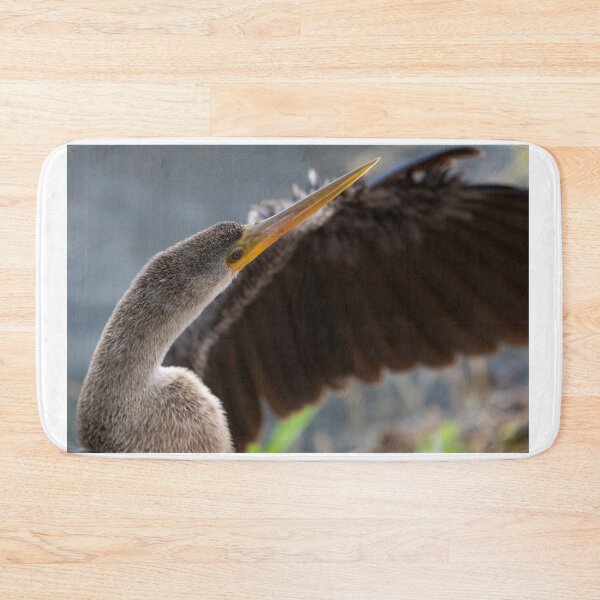 Item preview, Anhinga Sunbathing  designed and sold by Jared Frankle.