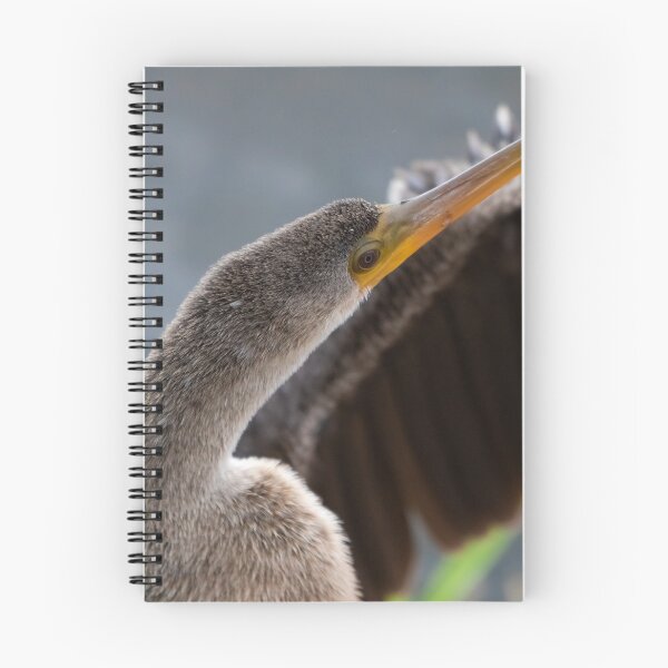 Item preview, Anhinga Sunbathing  designed and sold by Jared Frankle.