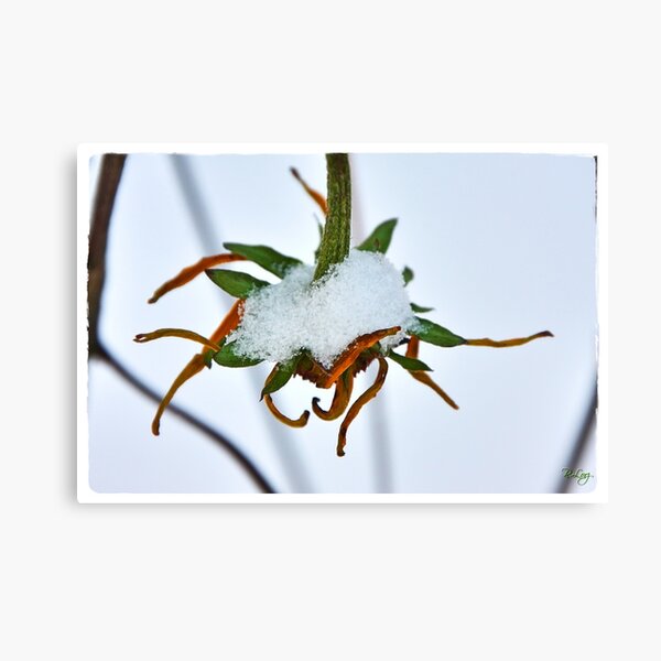 Item preview, Wintertime designed and sold by Roswitha Lorz.