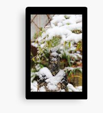 Lienzo Snowed in
