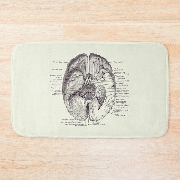 Item preview, Brain Nervous System Diagram - Vintage Anatomy 2 designed and sold by VAposters.