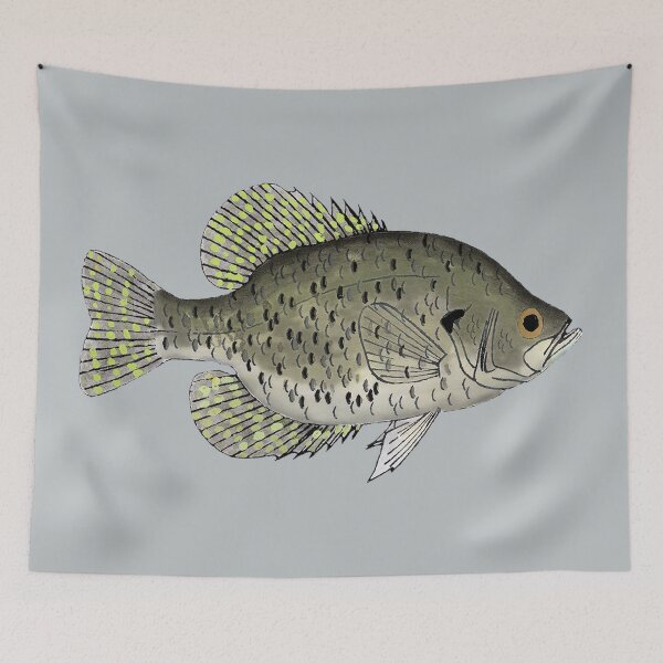 Item preview, Black Crappie designed and sold by fishfolkart.