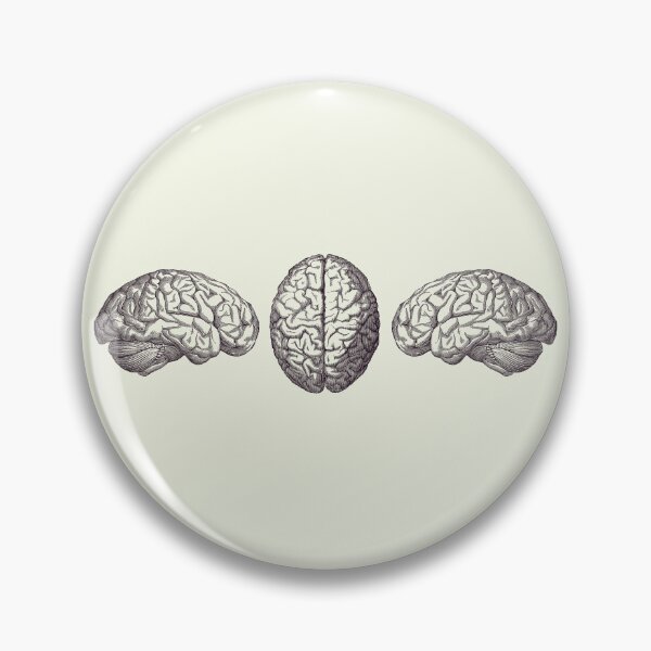 Item preview, Human Brain - Triple View - Vintage Anatomy Print 2 designed and sold by VAposters.