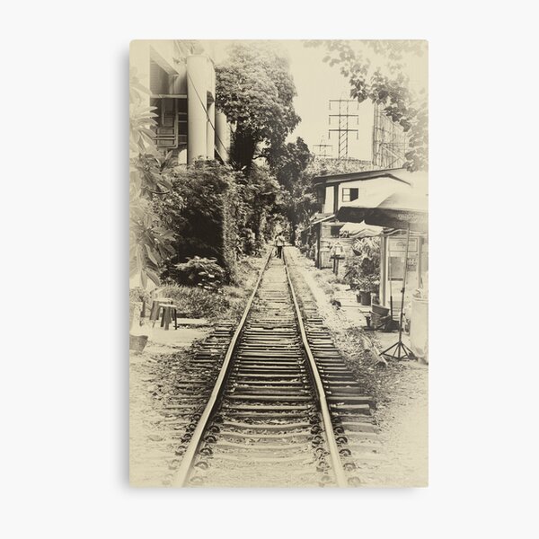 Walking The Line Metal Print