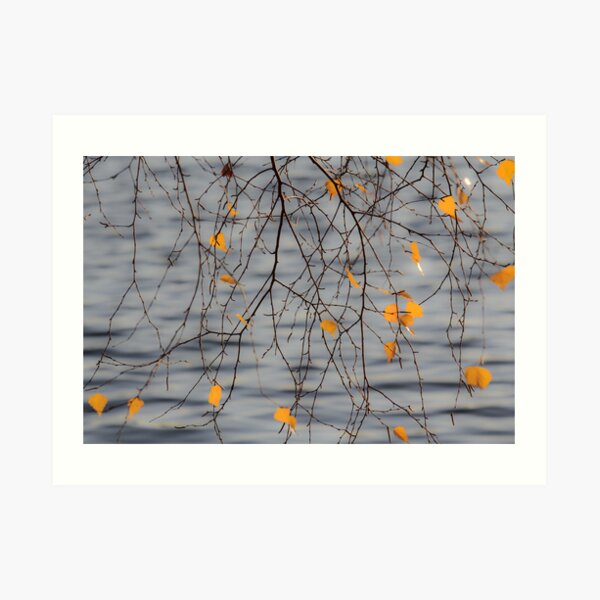 Golden Leaves Art Print