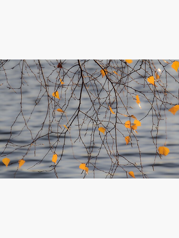 Golden Leaves by LynnWiles