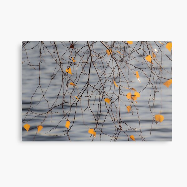 Golden Leaves Metal Print