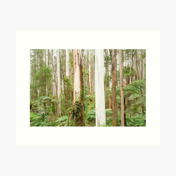 Item preview, Mountain Ash Forest designed and sold by pennyswork.