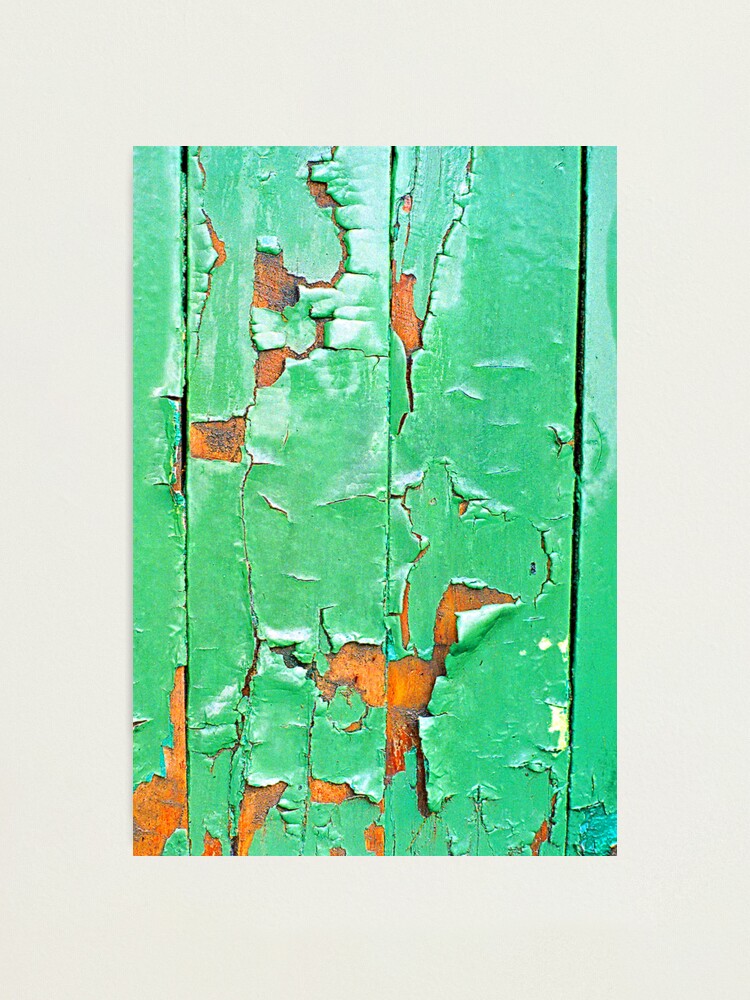 Alternate view of "The Green Door" Photographic Print