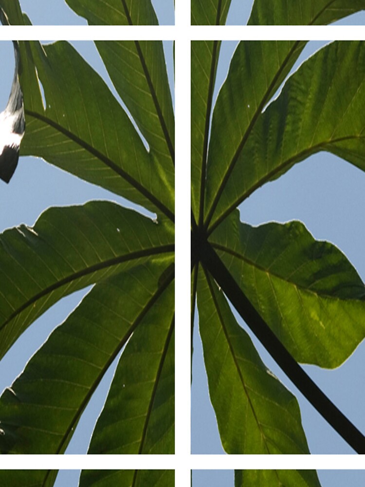 Thumbnail 5 of 5, iPhone Case, Leaves. designed and sold by cable.
