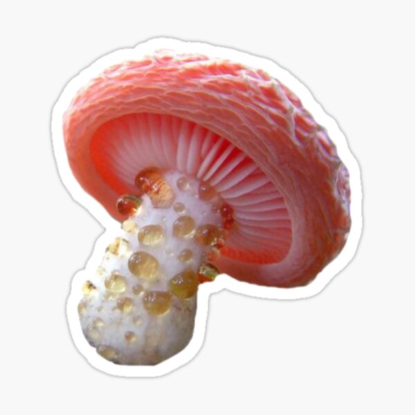 Pink mushroom Sticker