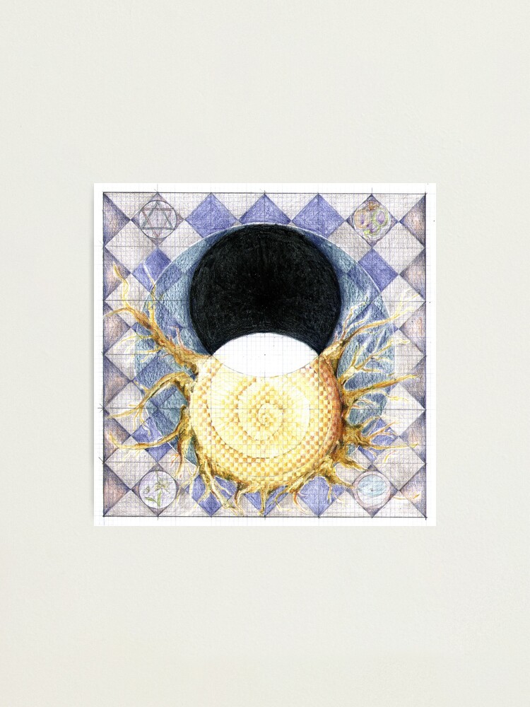 Alternate view of wheel 2: Co-Creative Evolution Photographic Print