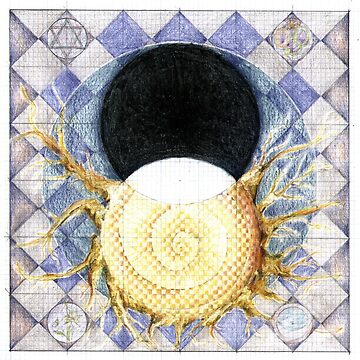 Artwork thumbnail, wheel 2: Co-Creative Evolution by mona shiber