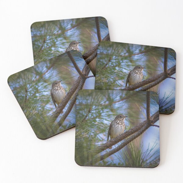 Item preview, Hermit Thrush designed and sold by AmberLeung.