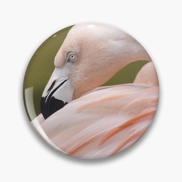 Item preview, Chilean Flamingo Grooming designed and sold by Kathleen Brant.