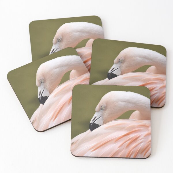 Item preview, Chilean Flamingo Grooming designed and sold by Kathleen Brant.