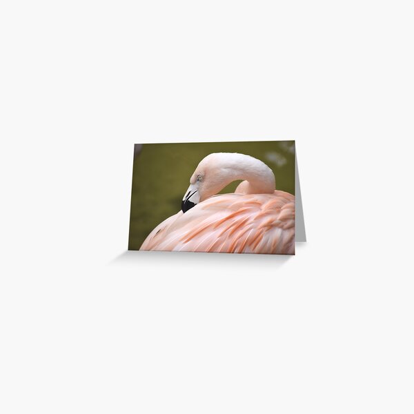 Stylo 3 couleurs Iconic - Julie Flamingo - Papeterie de Voyage