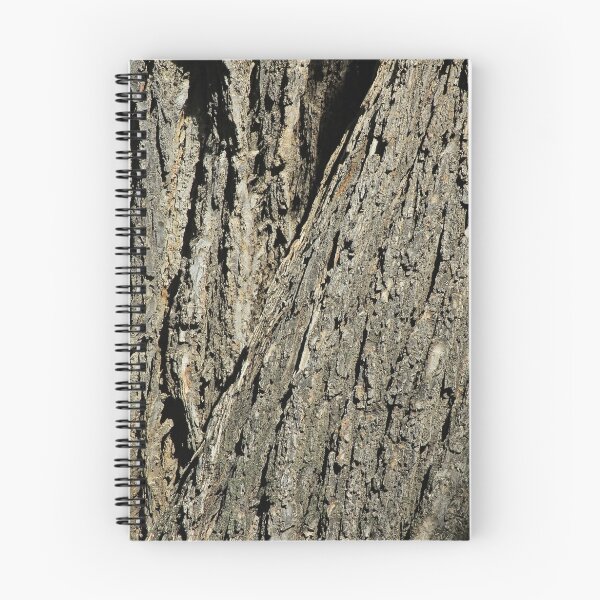 Aperçu de l'œuvre Tree Bark créée et vendue par rhamm.