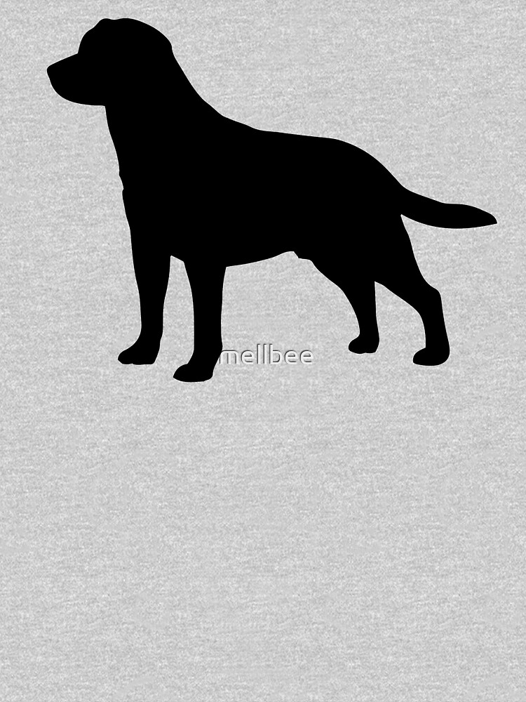 Labrador by mellbee