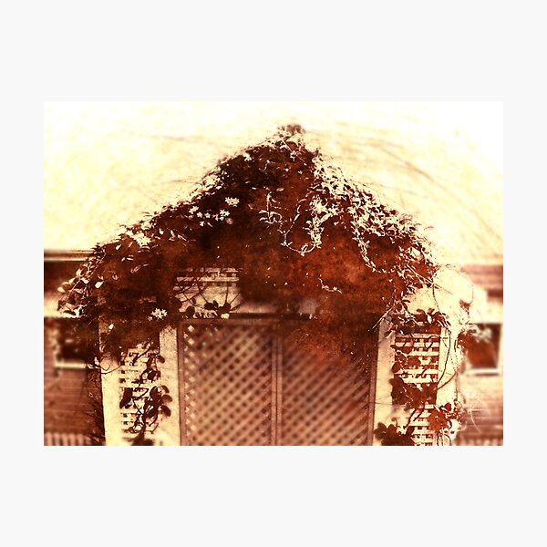 Old Times Photographic Print