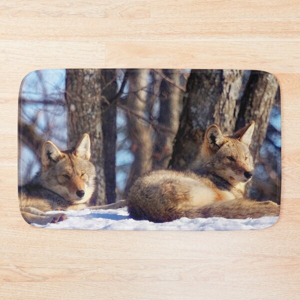 Item preview, Coyotes designed and sold by Yannik Hay.