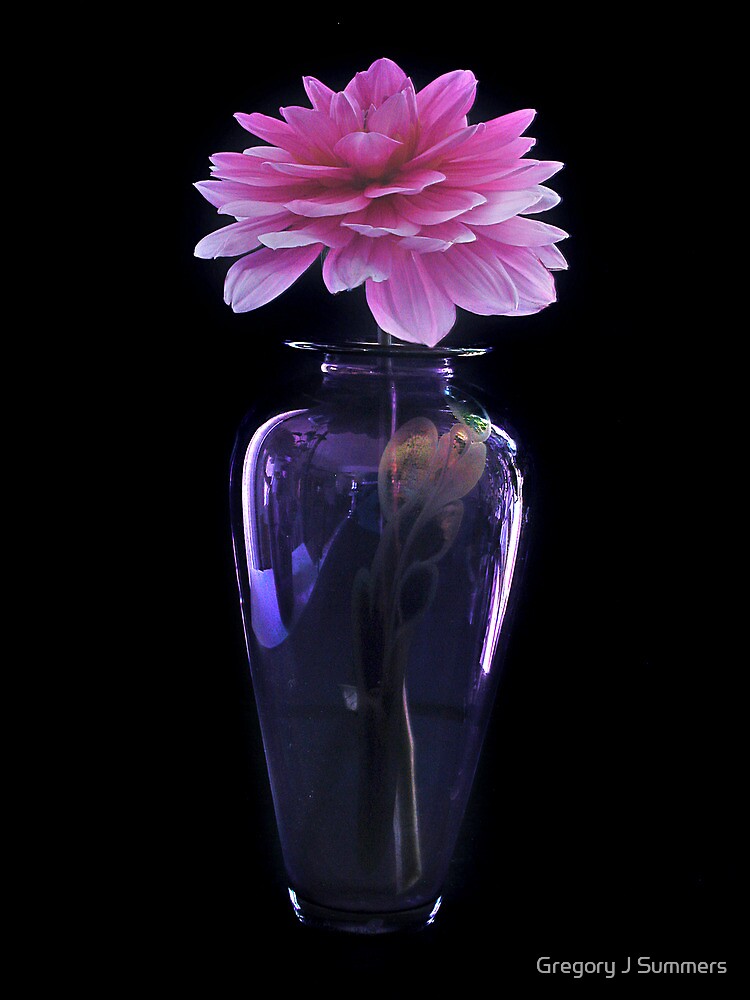 Dahlia In Evening Dress by nikongreg