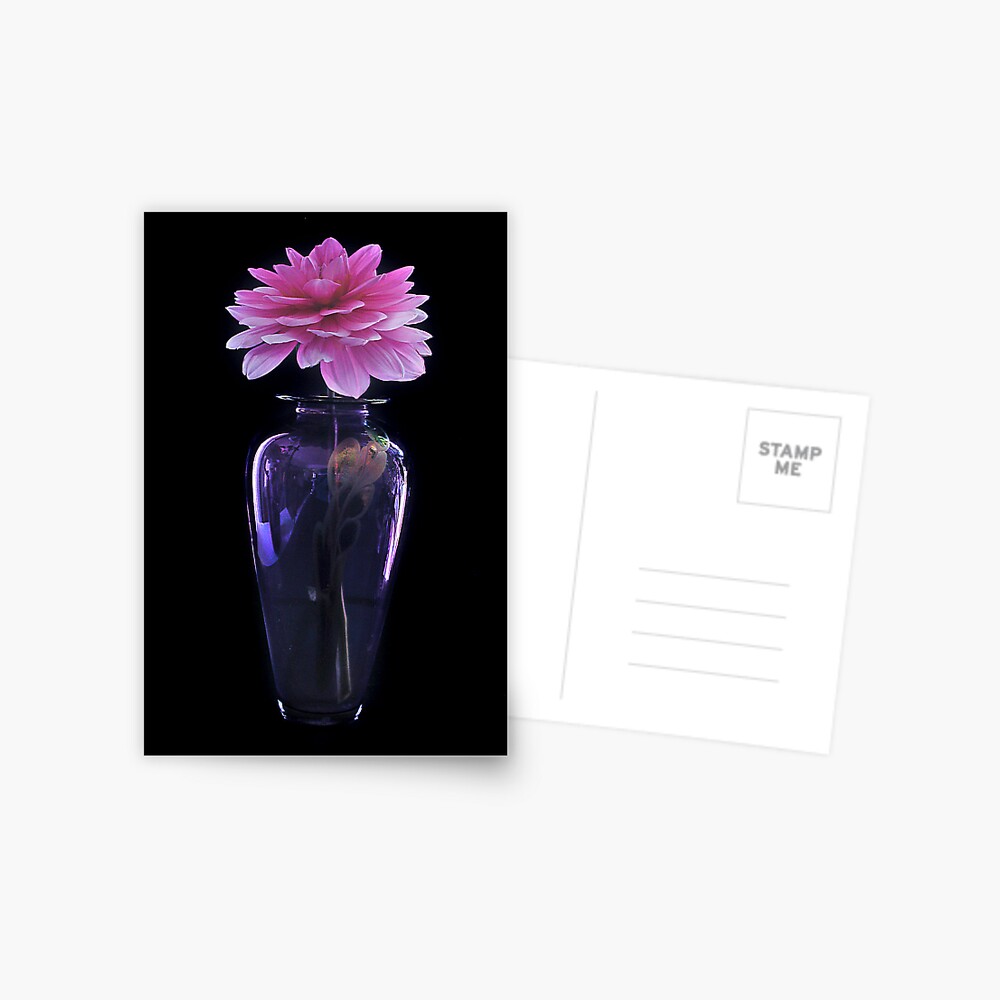 Item preview, Postcard designed and sold by nikongreg.
