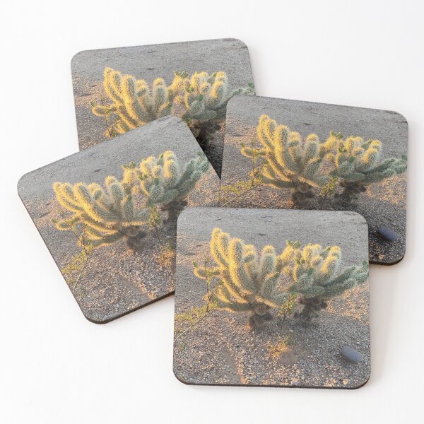 Item preview, Cactus designed and sold by pinkyjainpan.