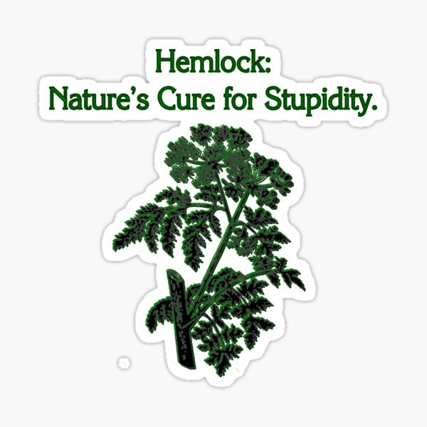 Cure for Stupid Hemlock Plant Dark Humor Sticker