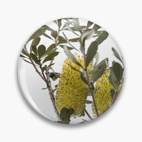 Banksia SYD02 Pin