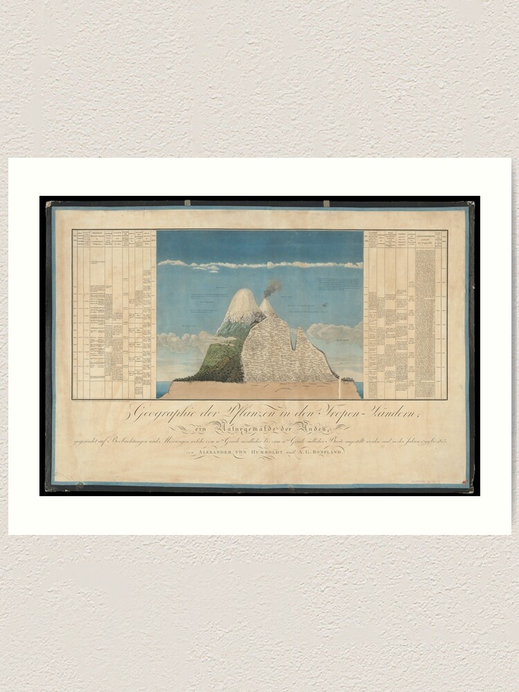 Alternate view of Alexander von Humboldt - Section View of Plants on the Chimborazo and Cotopaxi Volcanoes (1807) Art Print