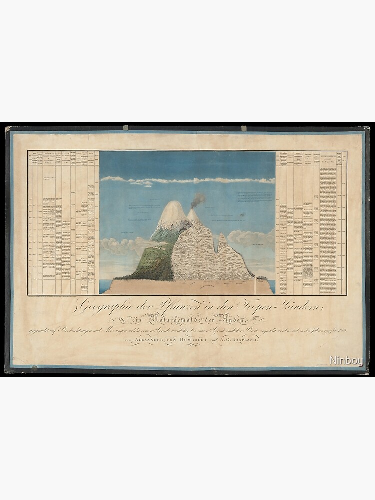 Alexander von Humboldt - Section View of Plants on the Chimborazo and Cotopaxi Volcanoes (1807) by Ninboy