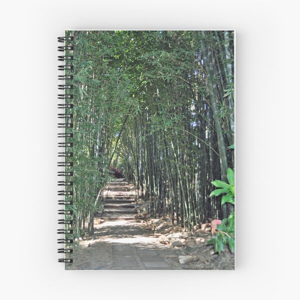 Item preview, Bamboo Walk designed and sold by Margaret Stevens.
