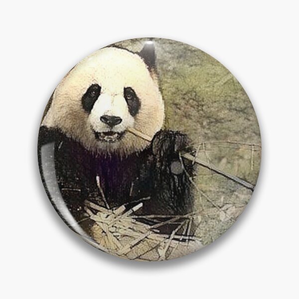 Item preview, Memories of Munching Pandas designed and sold by Alyxandre.