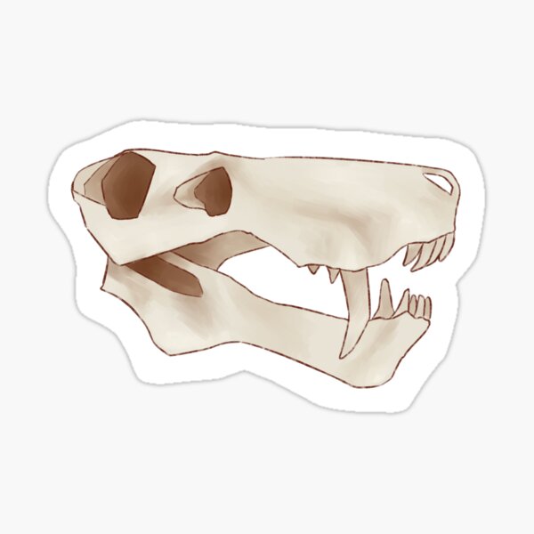 Gorgonopsid Skull Sketch Sticker