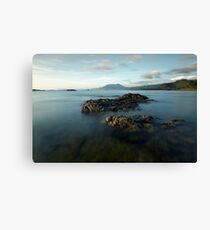 Untitled Canvas Print