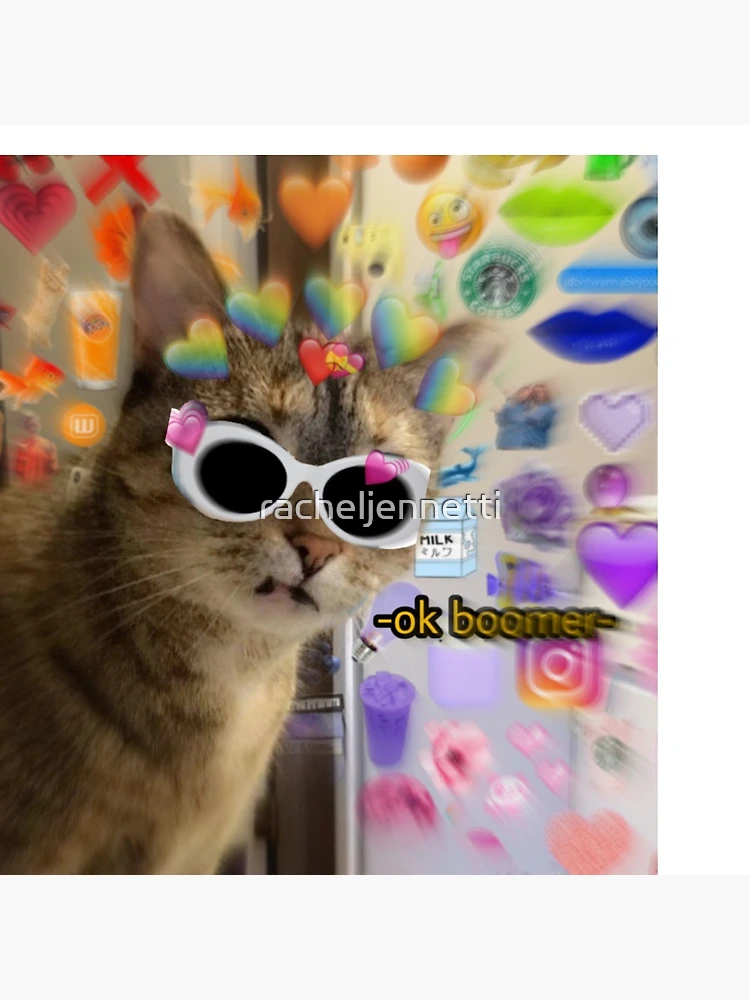 Cat with hot sale clout goggles